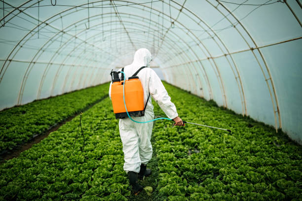 Best Commercial Pest Control Services  in San Juan Bautista, CA