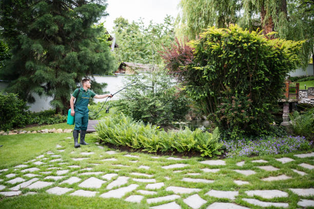 Best Wasp Removal Services  in San Juan Bautista, CA
