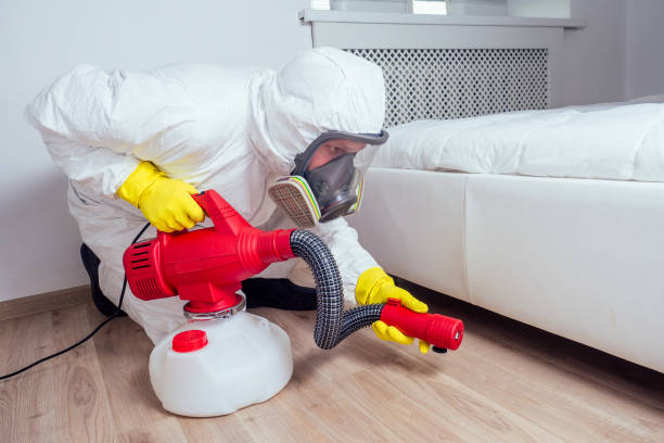 Pest Control Cost in San Juan Bautista, CA