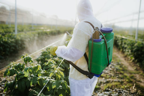 Best Emergency Pest Control  in San Juan Bautista, CA